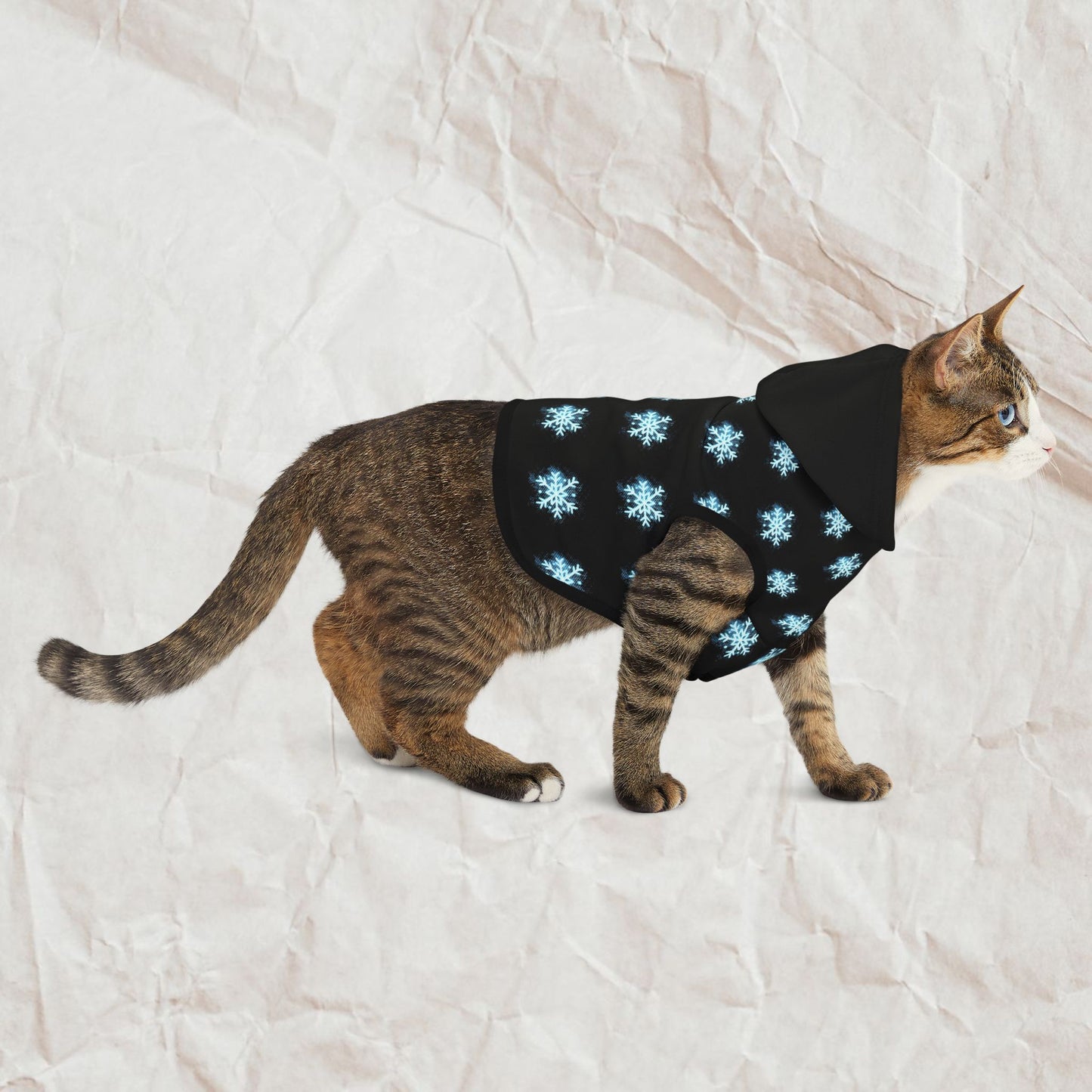 Winter’s Glow - Rylee Ann Spada x Popil- Cat Hoodie