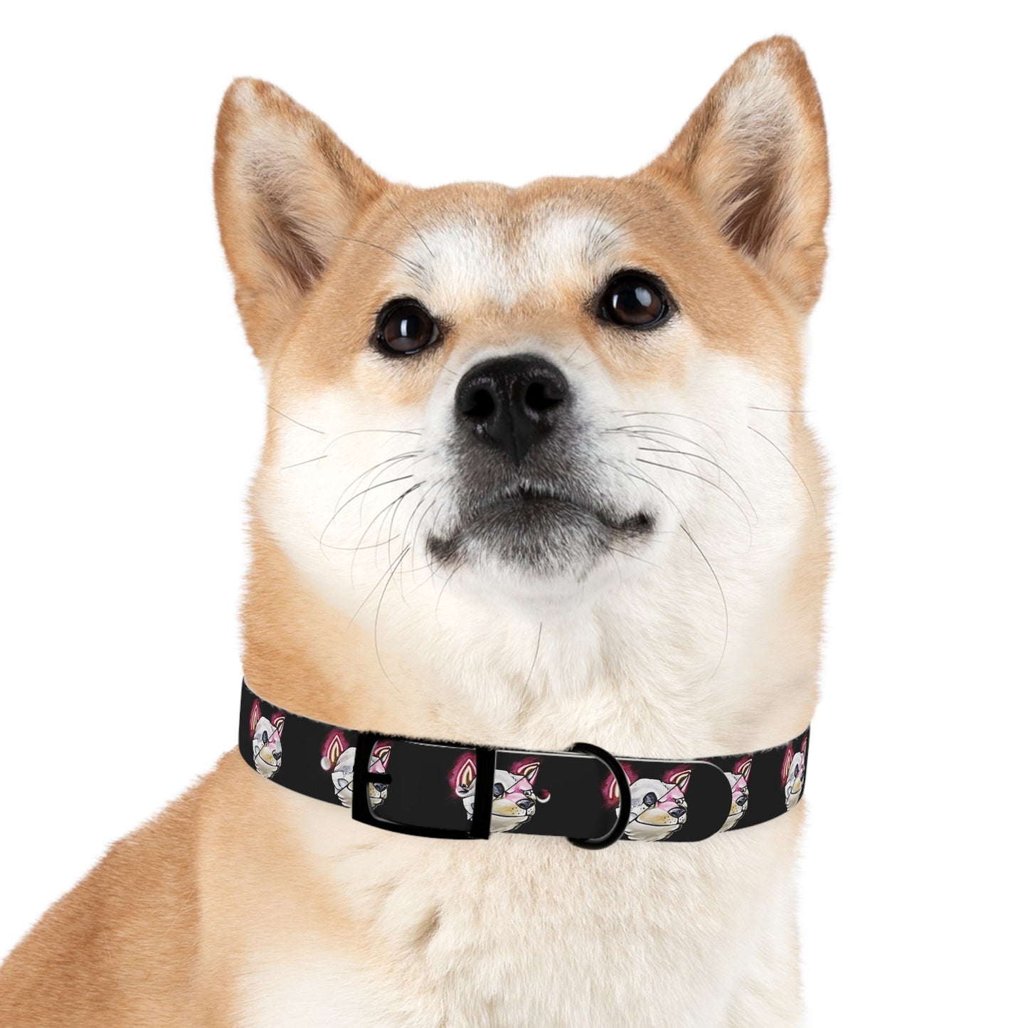 Winter’s Glow- Dog Collar