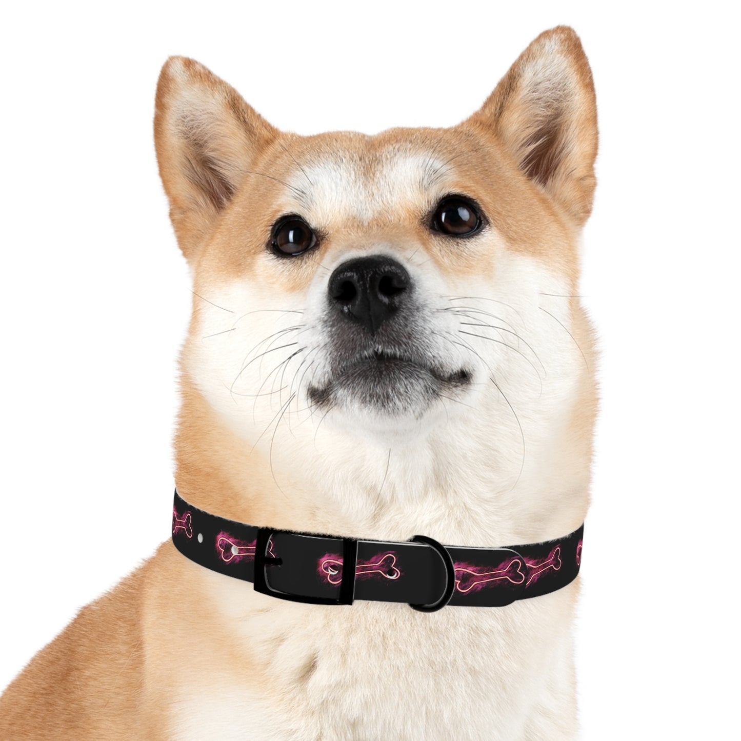 Winter’s Glow - Dog Collar - Neon Bone